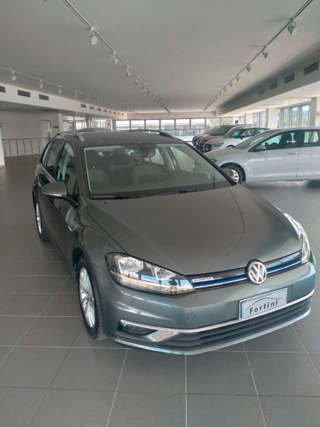 Vendita VOLKSWAGEN Golf Variant 1.4 TGI Highline BlueMotion Arezzo