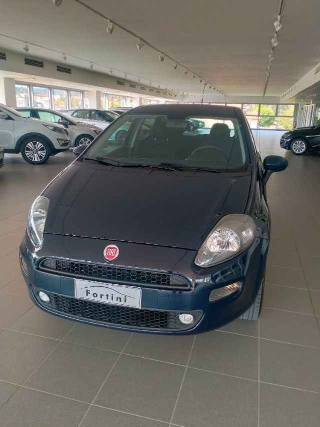 Vendita FIAT Punto 1.4 8V 5 porte Natural Power Lounge Arezzo