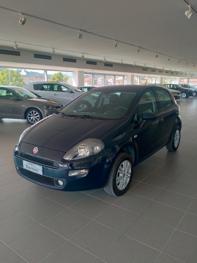 Vendita FIAT Punto 1.4 8V 5 porte Natural Power Lounge Arezzo