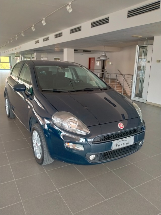 Vendita FIAT Punto 1.4 8V 5 porte Natural Power Lounge Arezzo