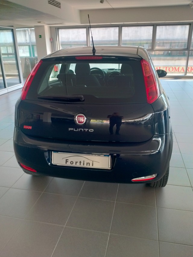 Vendita FIAT Punto 1.4 8V 5 porte Natural Power Lounge Arezzo