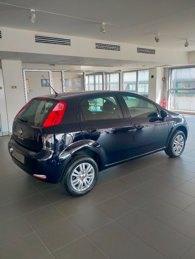 Vendita FIAT Punto 1.4 8V 5 porte Natural Power Lounge Arezzo