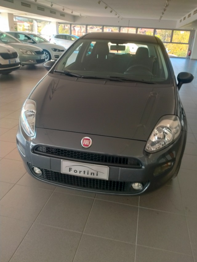 Vendita FIAT Punto 1.2 8V 5 porte Street Arezzo