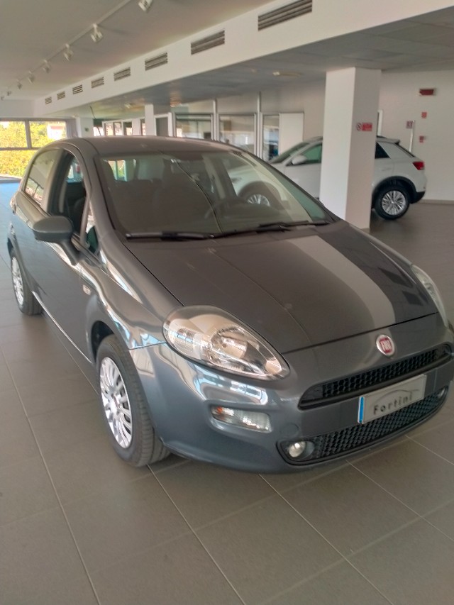 Vendita FIAT Punto 1.2 8V 5 porte Street Arezzo