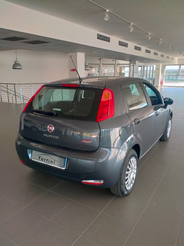 Vendita FIAT Punto 1.2 8V 5 porte Street Arezzo