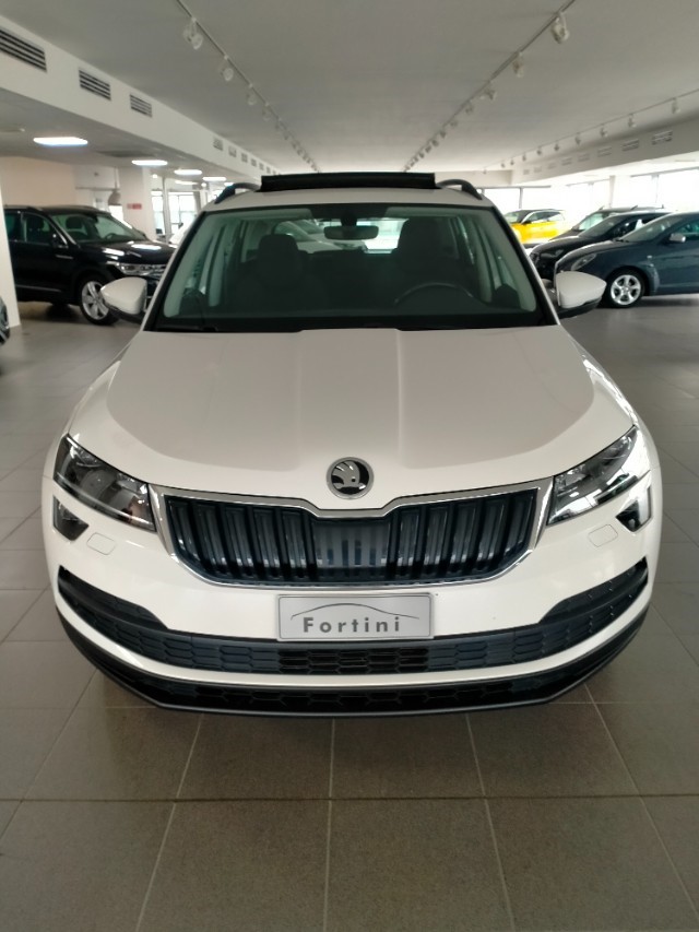 Vendita SKODA Karoq 1.6 TDI SCR Executive Arezzo